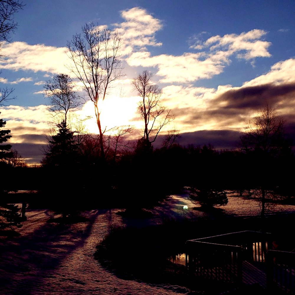 Meet your Posher, Jeanette